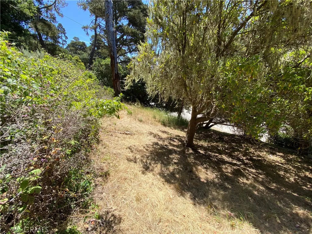 0 Kent Cambria, CA 93428 - Photo 6 of 8 a view of a yard with plants and trees