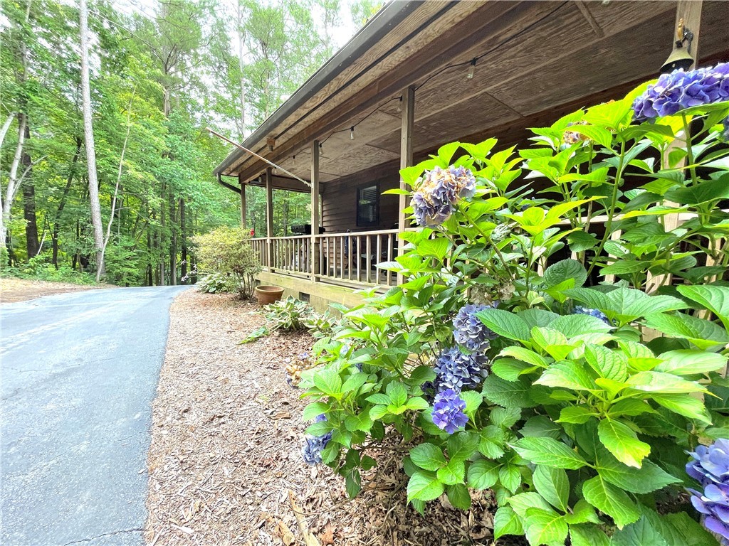 117 Holly Ridge Drive Walhalla, SC 29691 - Photo 5 of 49 Gallery Image 5