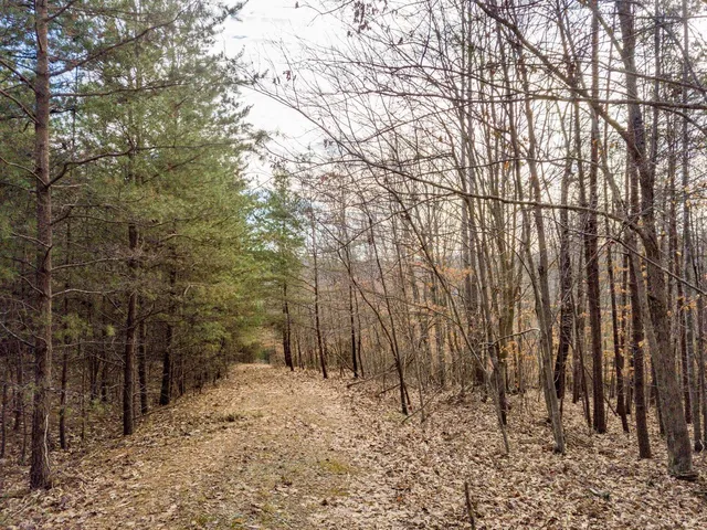 a bathroom with a shower and a sink