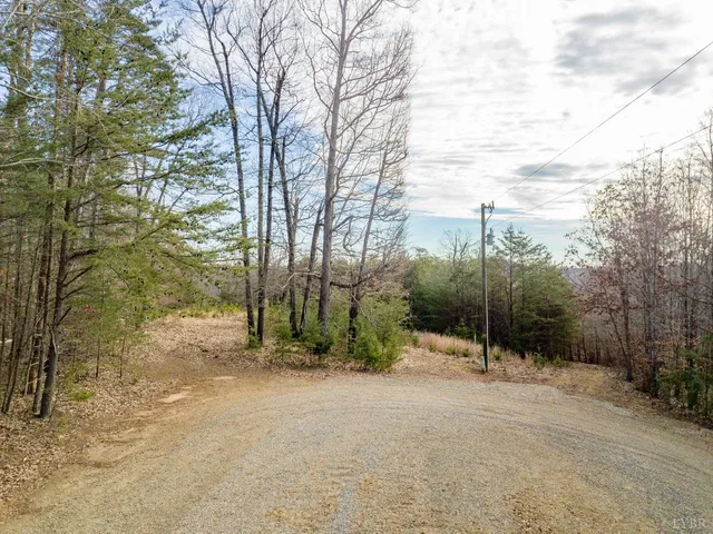 $54,900 | 0 Red Birch Drive, Pittsville, VA 24139