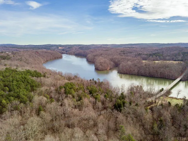 a view of a yard with trees
