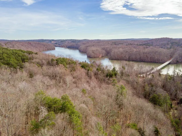 a view of a yard with trees