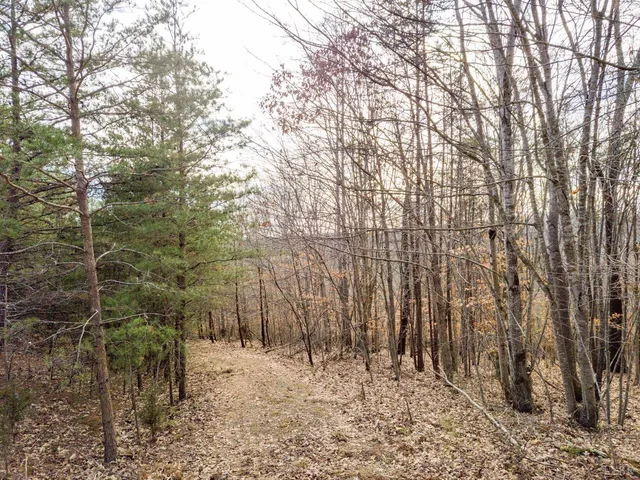a view of a yard covered in snow