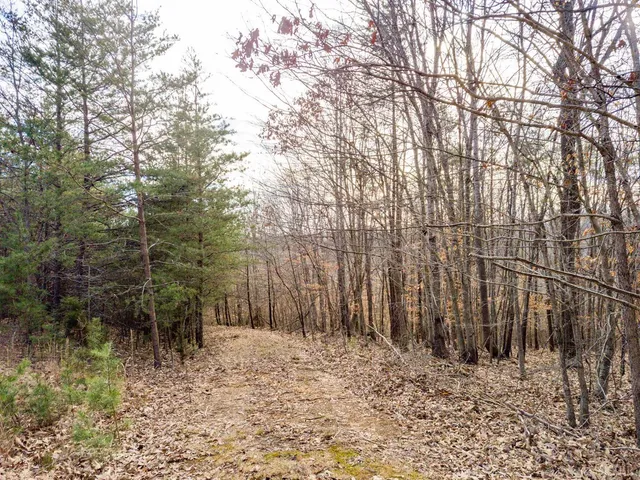 a backyard of a house with lots of trees
