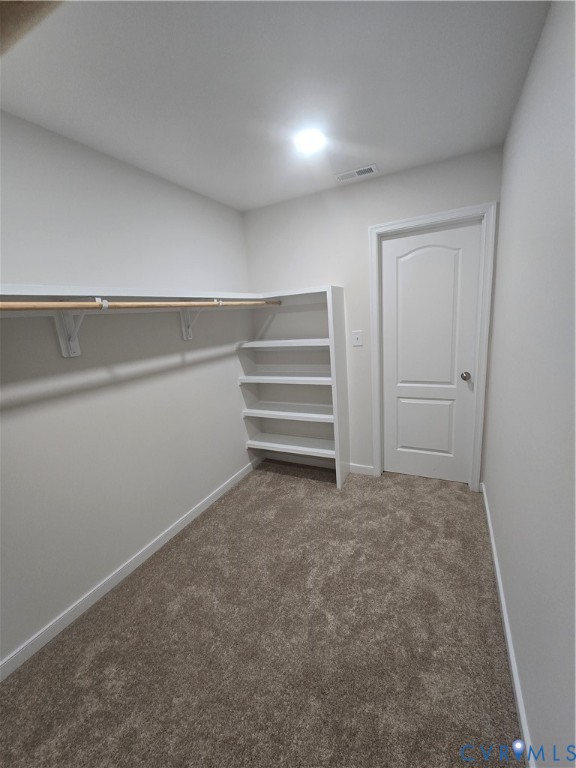 12084 Red Pine Road Ruther Glen, VA 22546 - Photo 38 of 49 Walk in closet with dark carpet