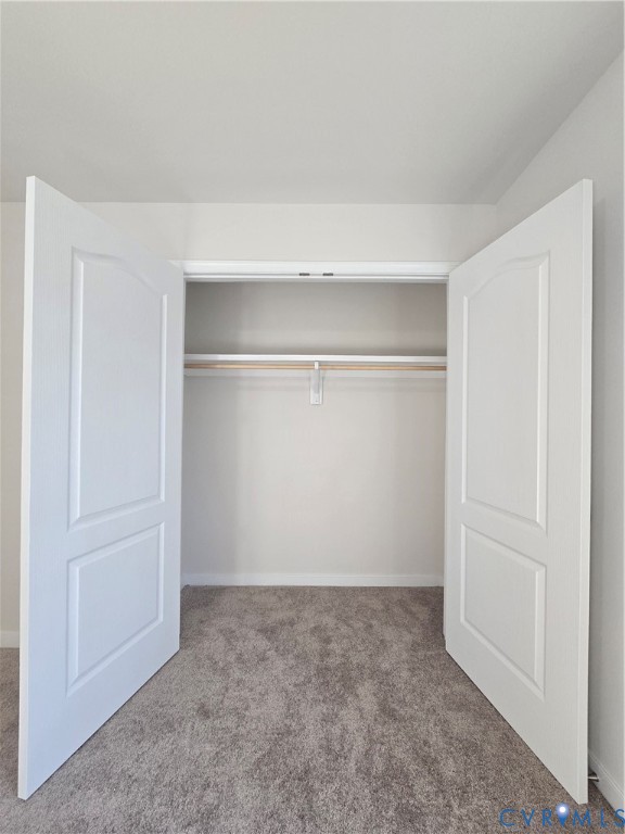 12084 Red Pine Road Ruther Glen, VA 22546 - Photo 44 of 49 View of closet