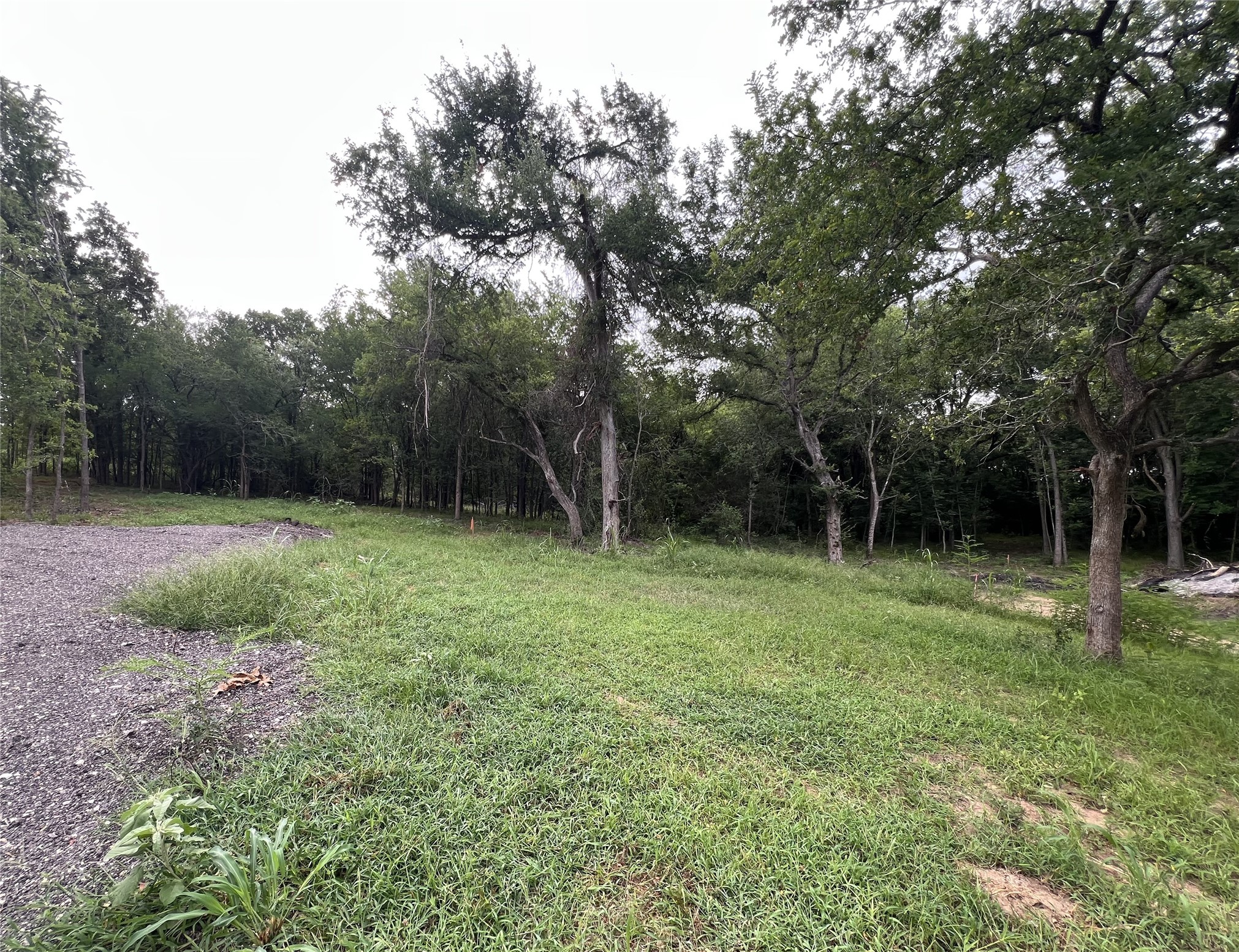 3000 Tract 1 Elgin, TX 78621 - Photo 5 of 18 Road that leads to property