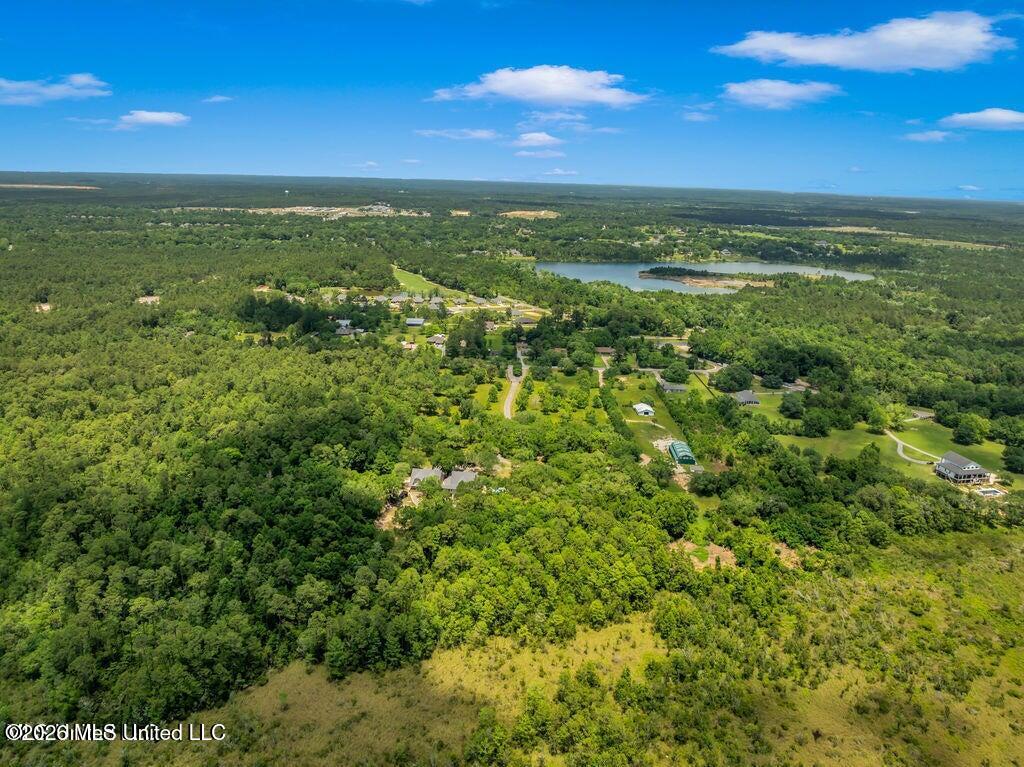 24071 Cuevas Delisle Road Pass Christian, MS 39571 - Photo 129 of 130 20251108152549712828000000-o