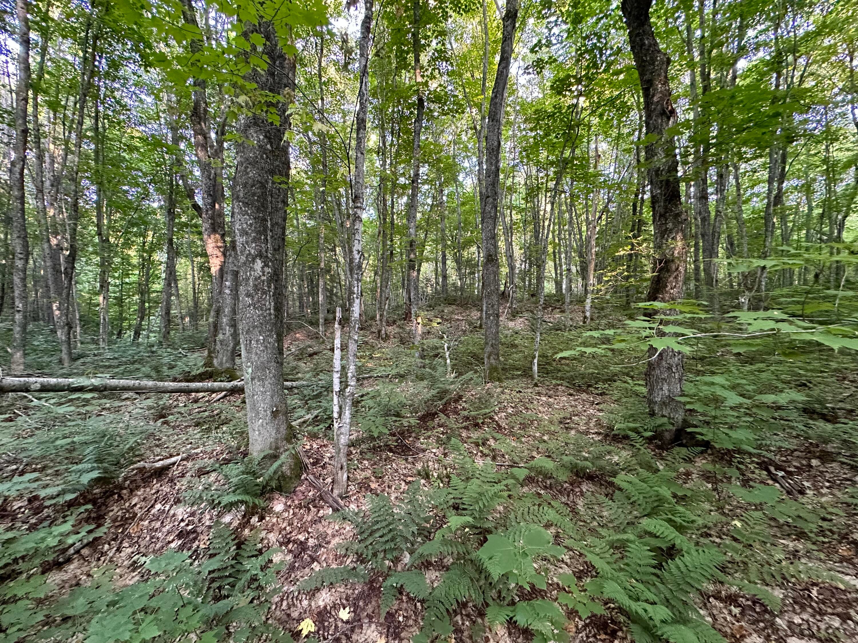16600 North Maple Block Road Paradise, MI 49768 - Photo 7 of 12 Gallery Image 7