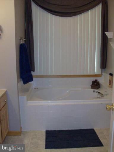 240 Ebenezer Church Road Rising Sun, MD 21911 - Photo 14 of 17 Master Bath #2