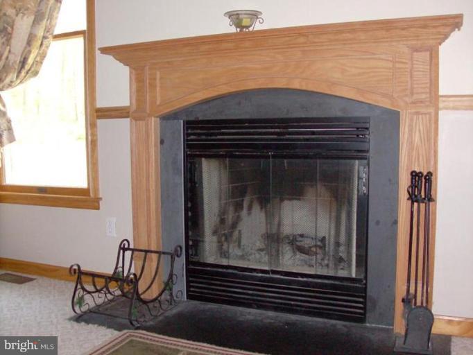 240 Ebenezer Church Road Rising Sun, MD 21911 - Photo 17 of 17 Fireplace