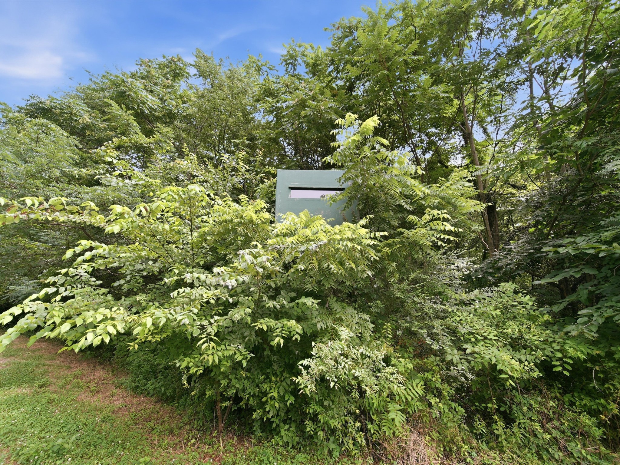168 Sherfield Road Fayetteville, TN 37334 - Photo 50 of 63