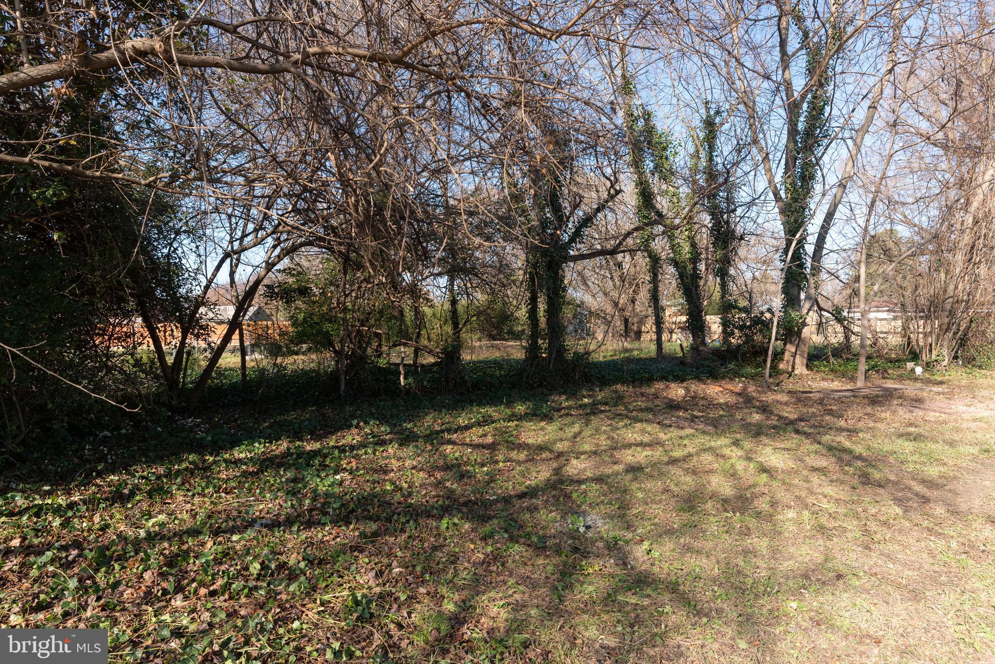 3306 East River Road Petersburg, VA 23803 - Photo 29 of 31 a view of outdoor space with yard