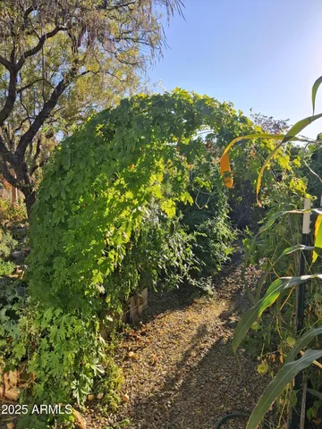 a view of a wooden fence