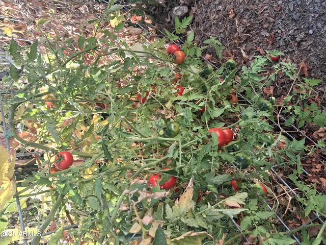 $2,200 | 4020 East Creek View Drive, Camp Verde, AZ 86322