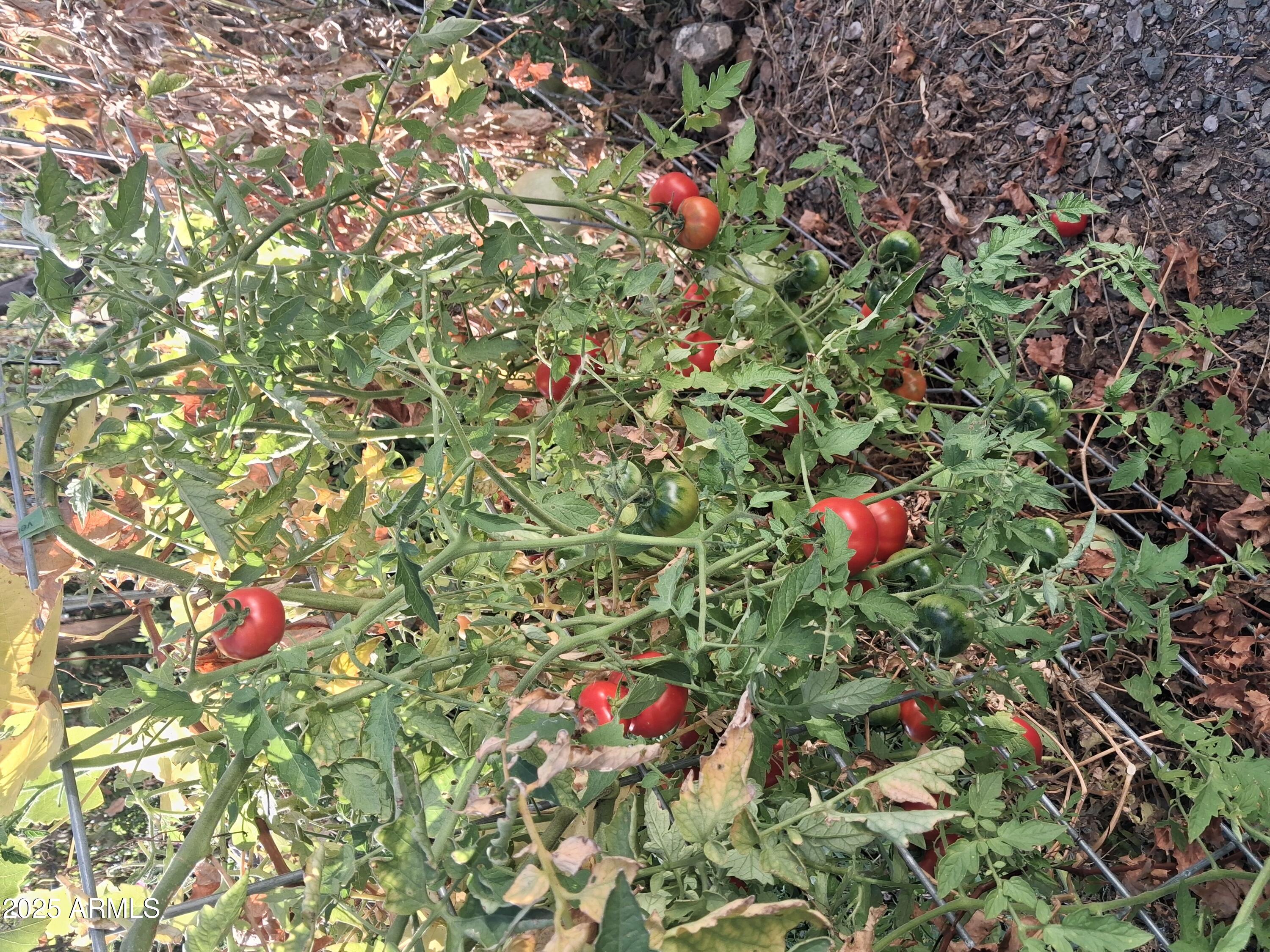 4020 East Creek View Drive Camp Verde, AZ 86322 - Photo 9 of 10