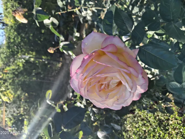 $2,200 | 4020 East Creek View Drive, Camp Verde, AZ 86322