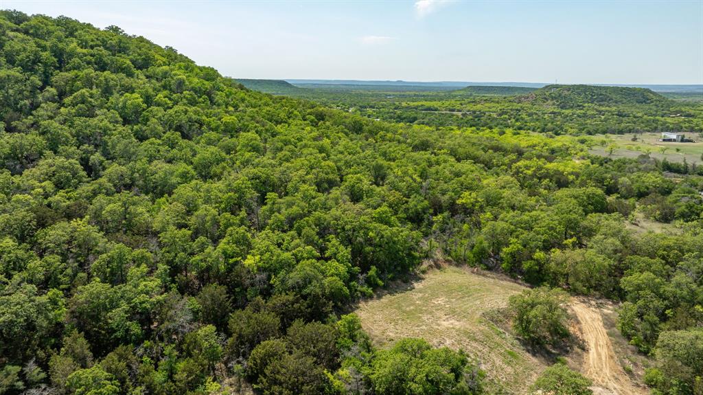 886 Mitchell Hill Road Gordon, TX 76453 - Photo 27 of 34 a view of a green field with lots of bushes