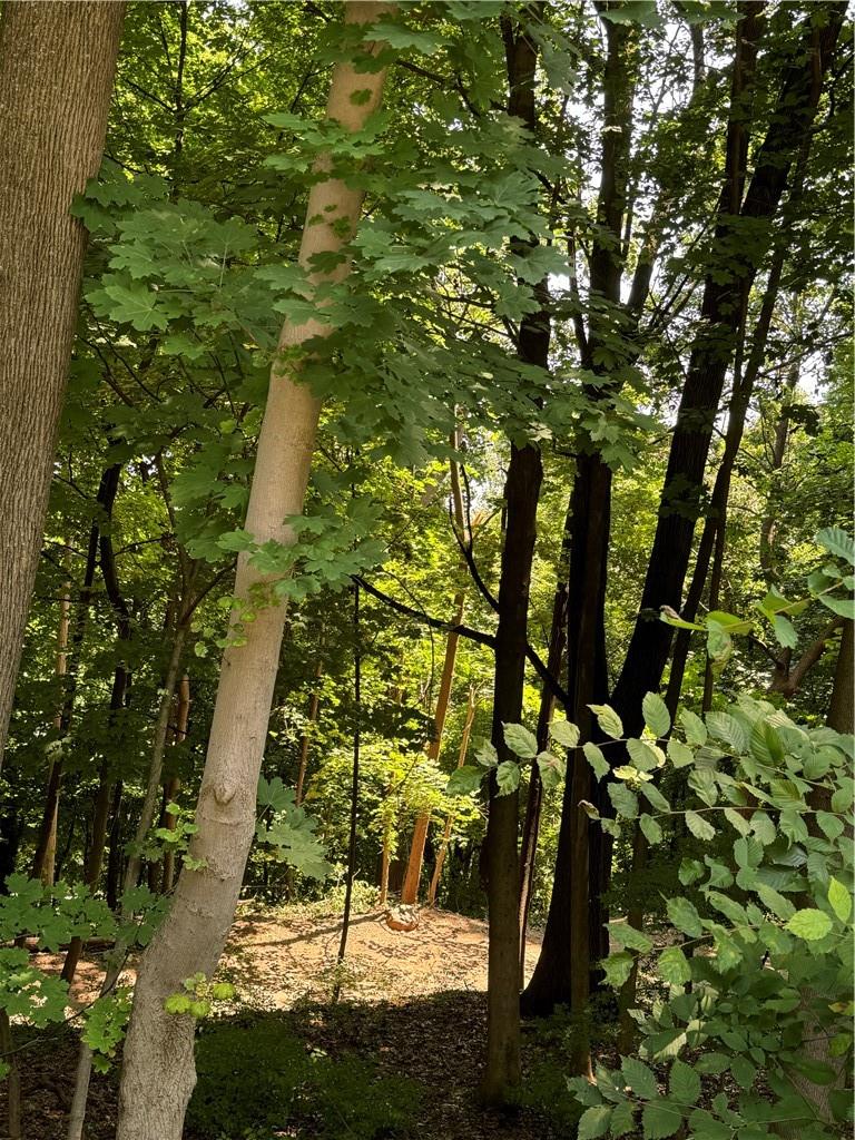 1129 Rte 9W Nyack, NY 10960 - Photo 3 of 3 View of landscape