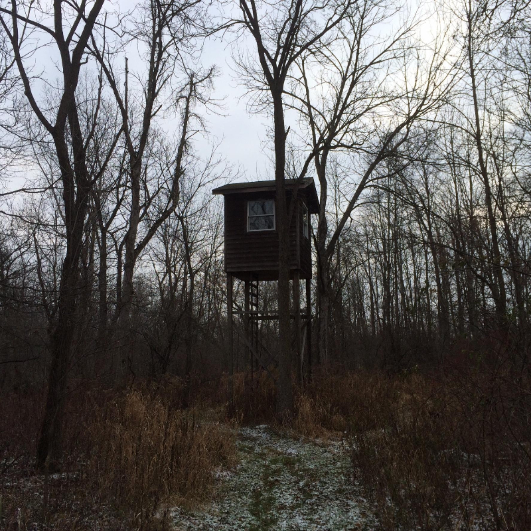 2234 Marquette Road Ionia, MI 48846 - Photo 42 of 58 Marquette blind 1.jpg