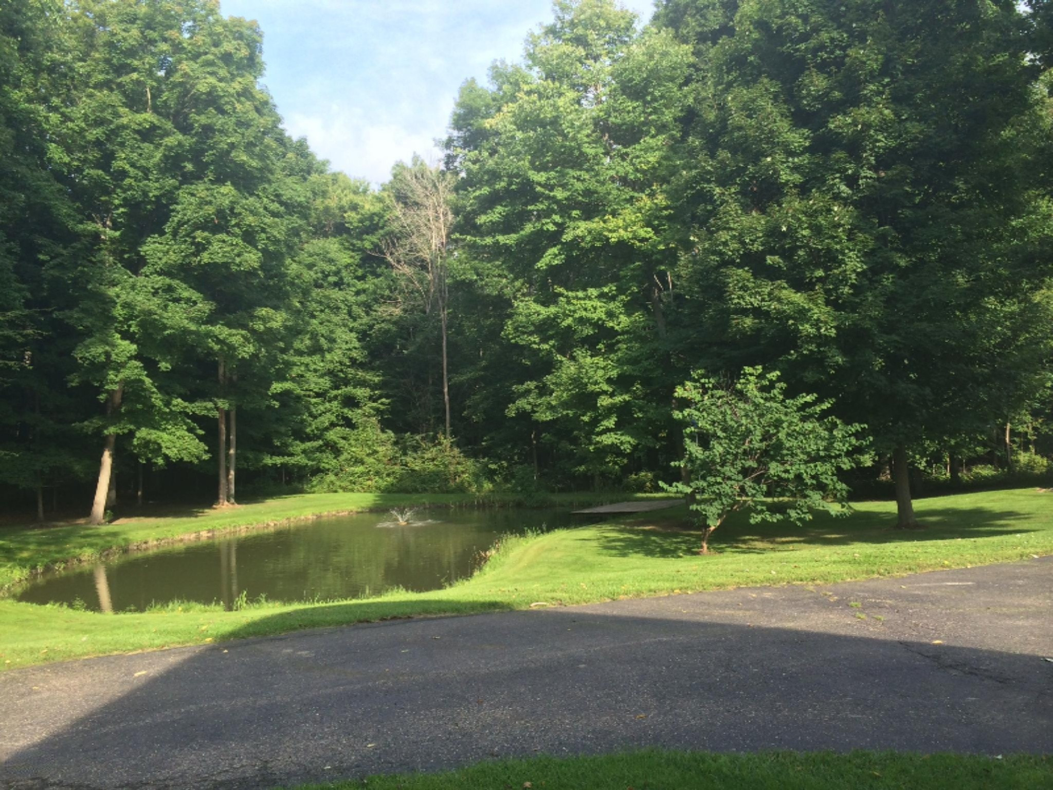 2234 Marquette Road Ionia, MI 48846 - Photo 52 of 58 IMG_1826.JPG