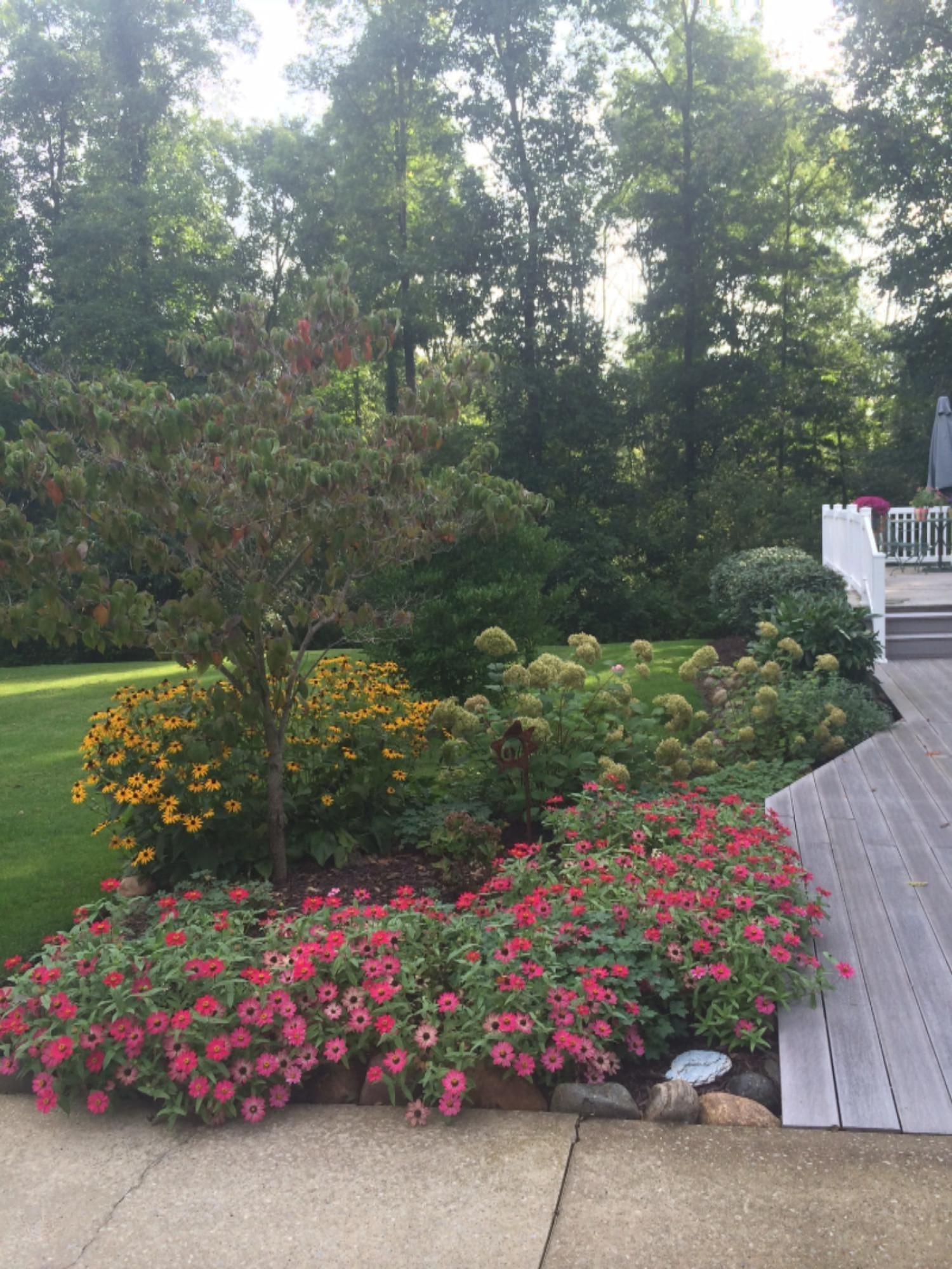 2234 Marquette Road Ionia, MI 48846 - Photo 53 of 58 IMG_1829.JPG