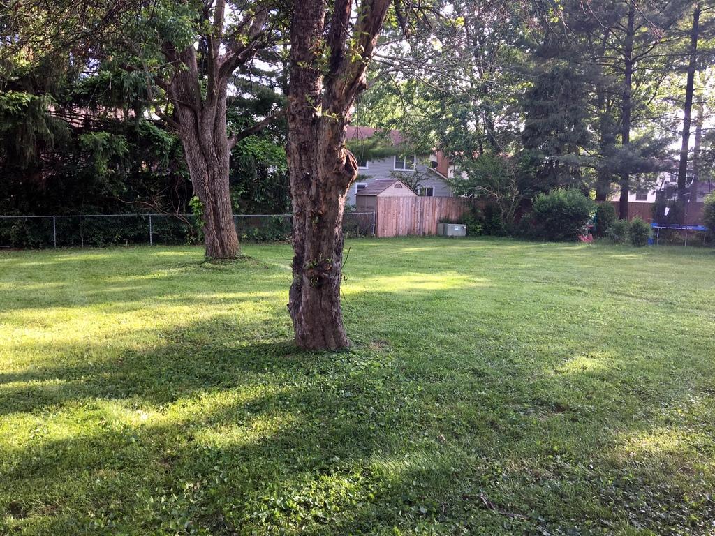 223 Chapelfield Road Columbus, OH 43230 - Photo 12 of 13