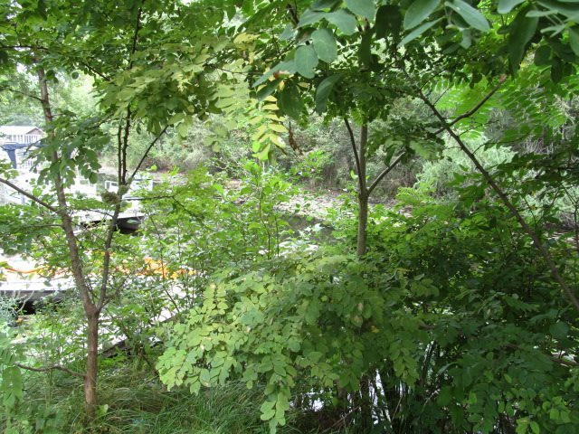 V/l Oakpoint Road Jackson, MI 49201 - Photo 2 of 11