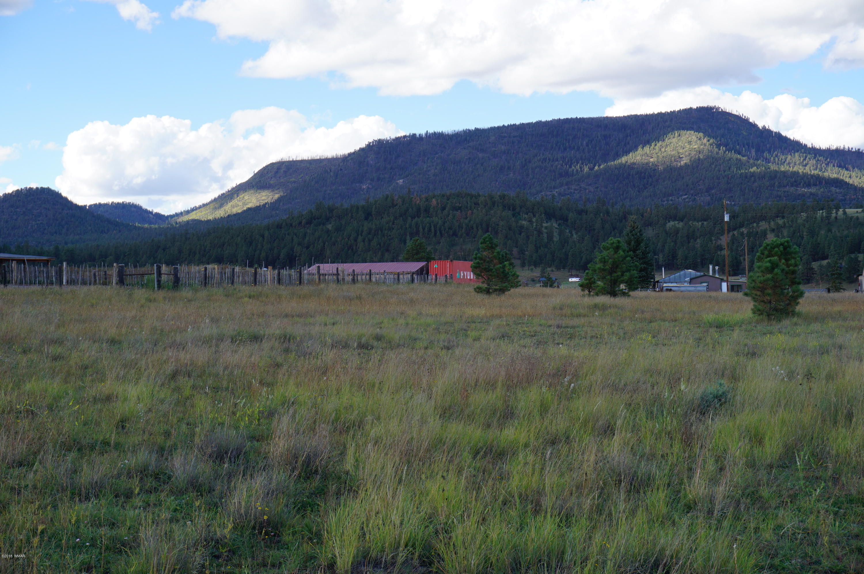 57 Co Road Alpine, AZ 85920 - Photo 1 of 20