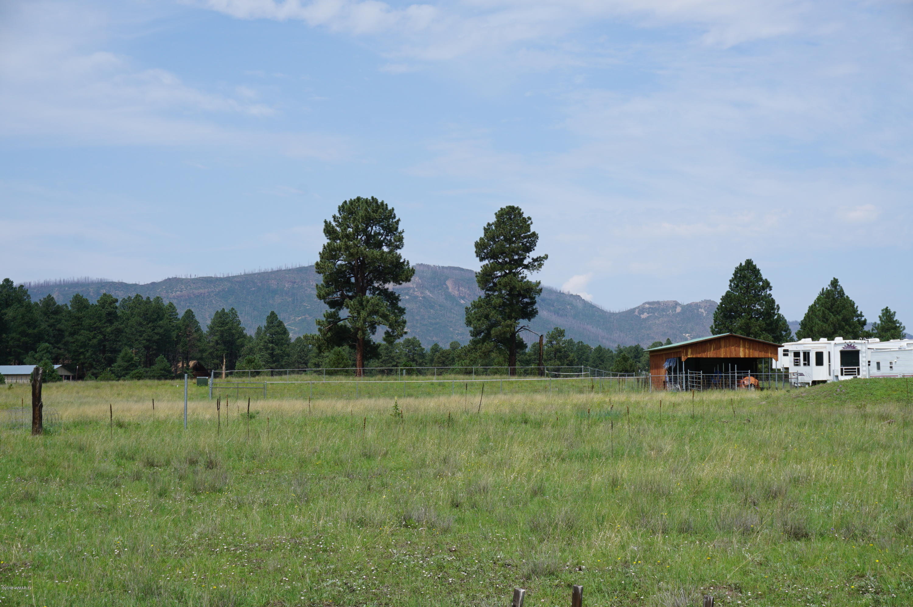 57 Co Road Alpine, AZ 85920 - Photo 11 of 20