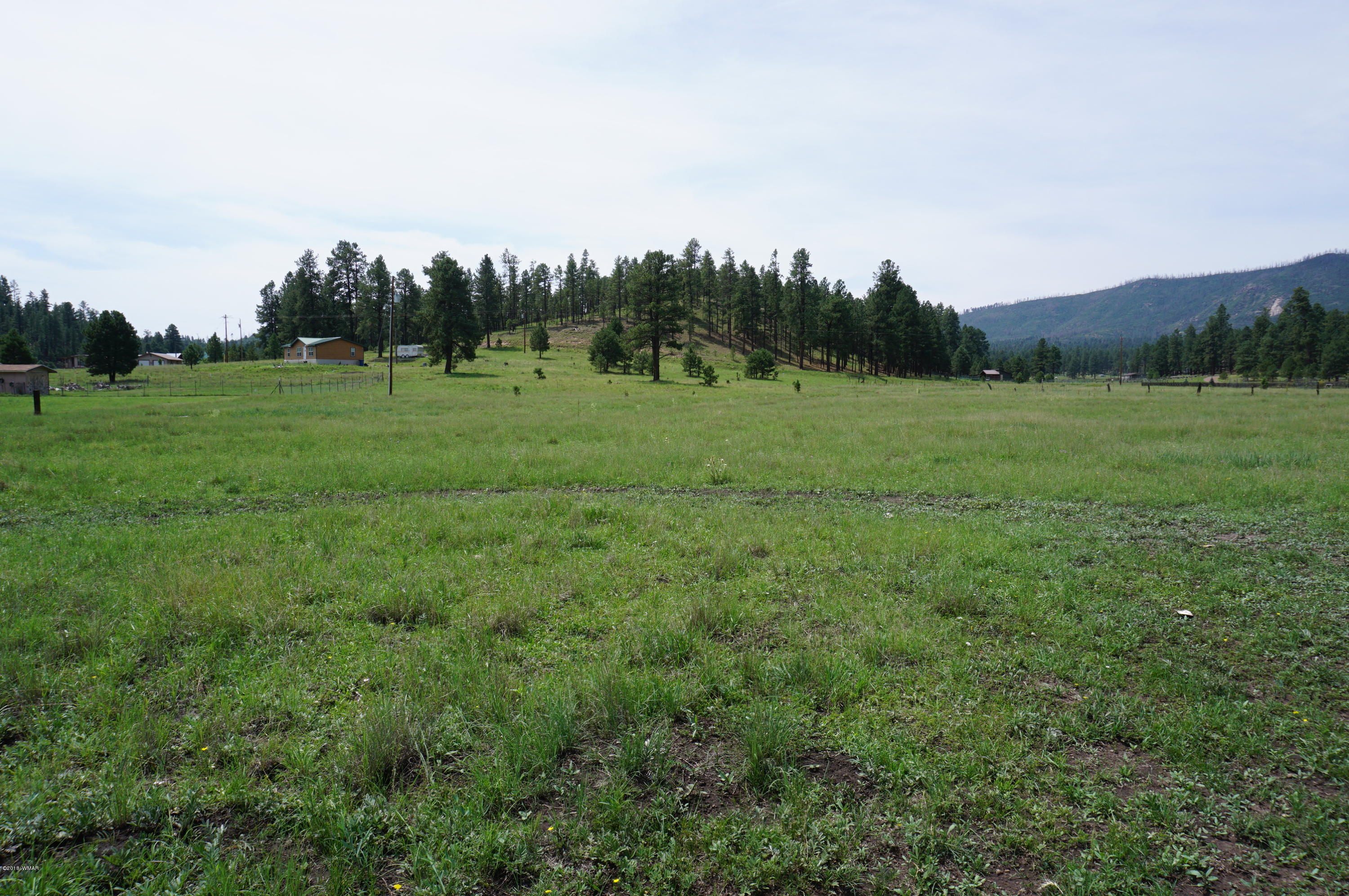57 Co Road Alpine, AZ 85920 - Photo 13 of 20