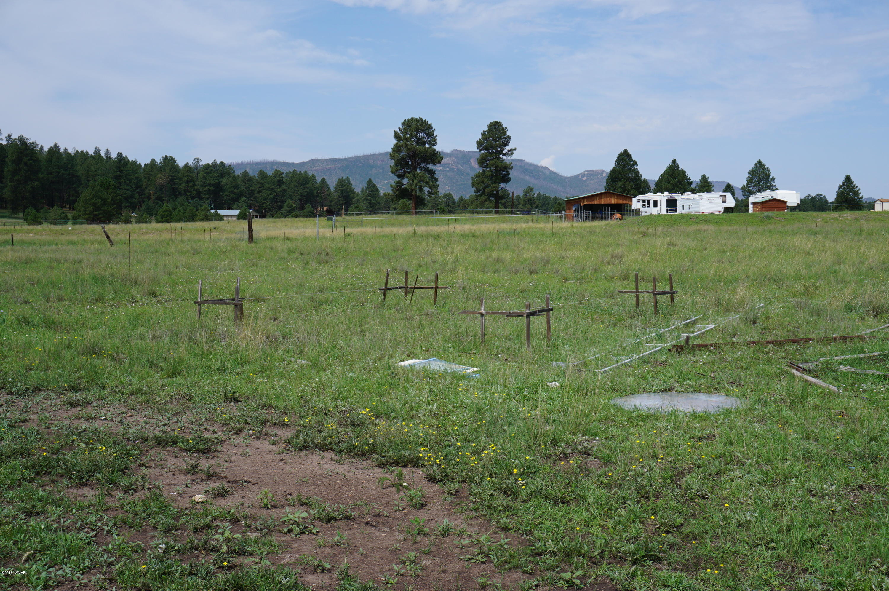 57 Co Road Alpine, AZ 85920 - Photo 15 of 20