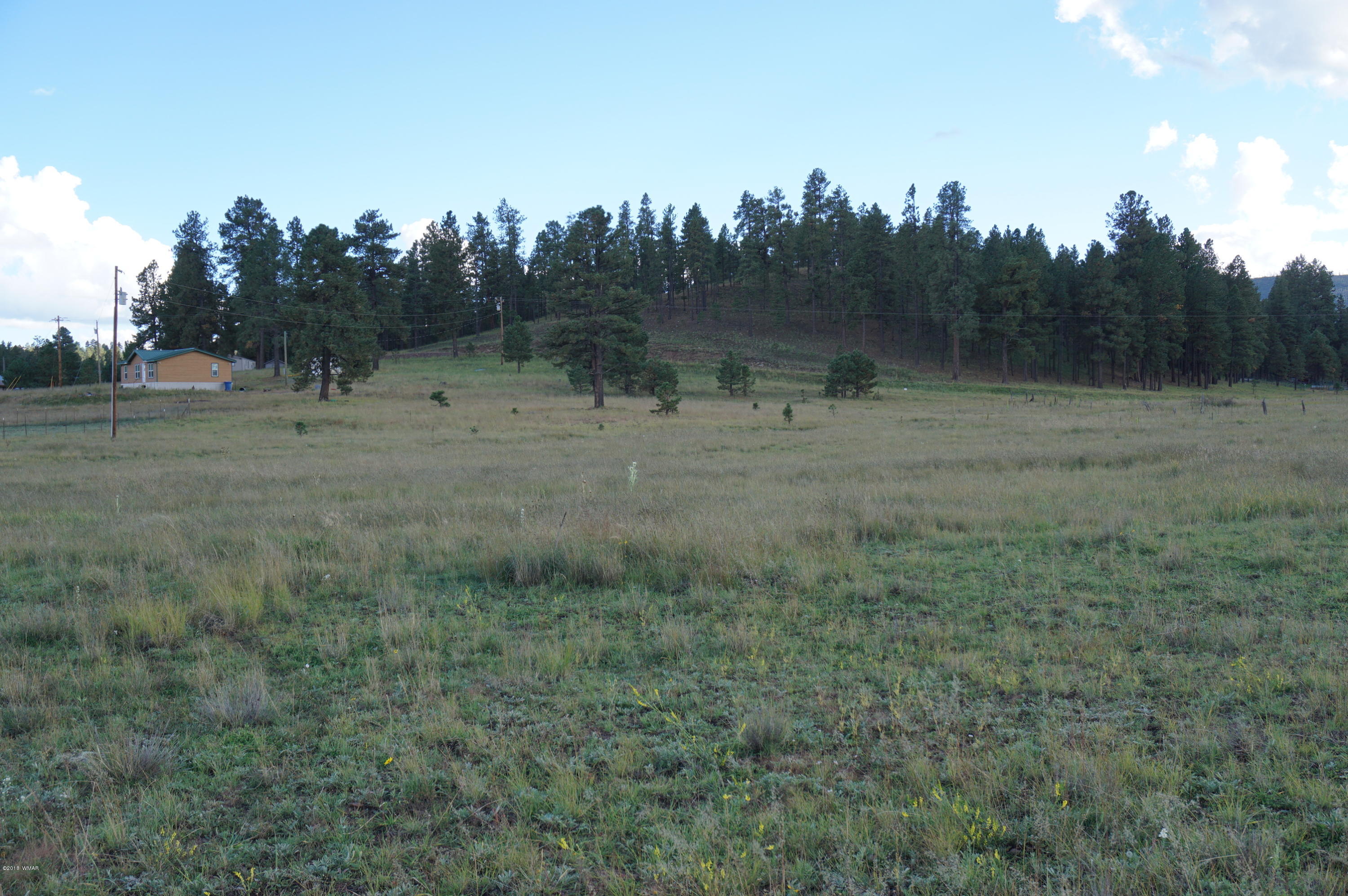 57 Co Road Alpine, AZ 85920 - Photo 19 of 20