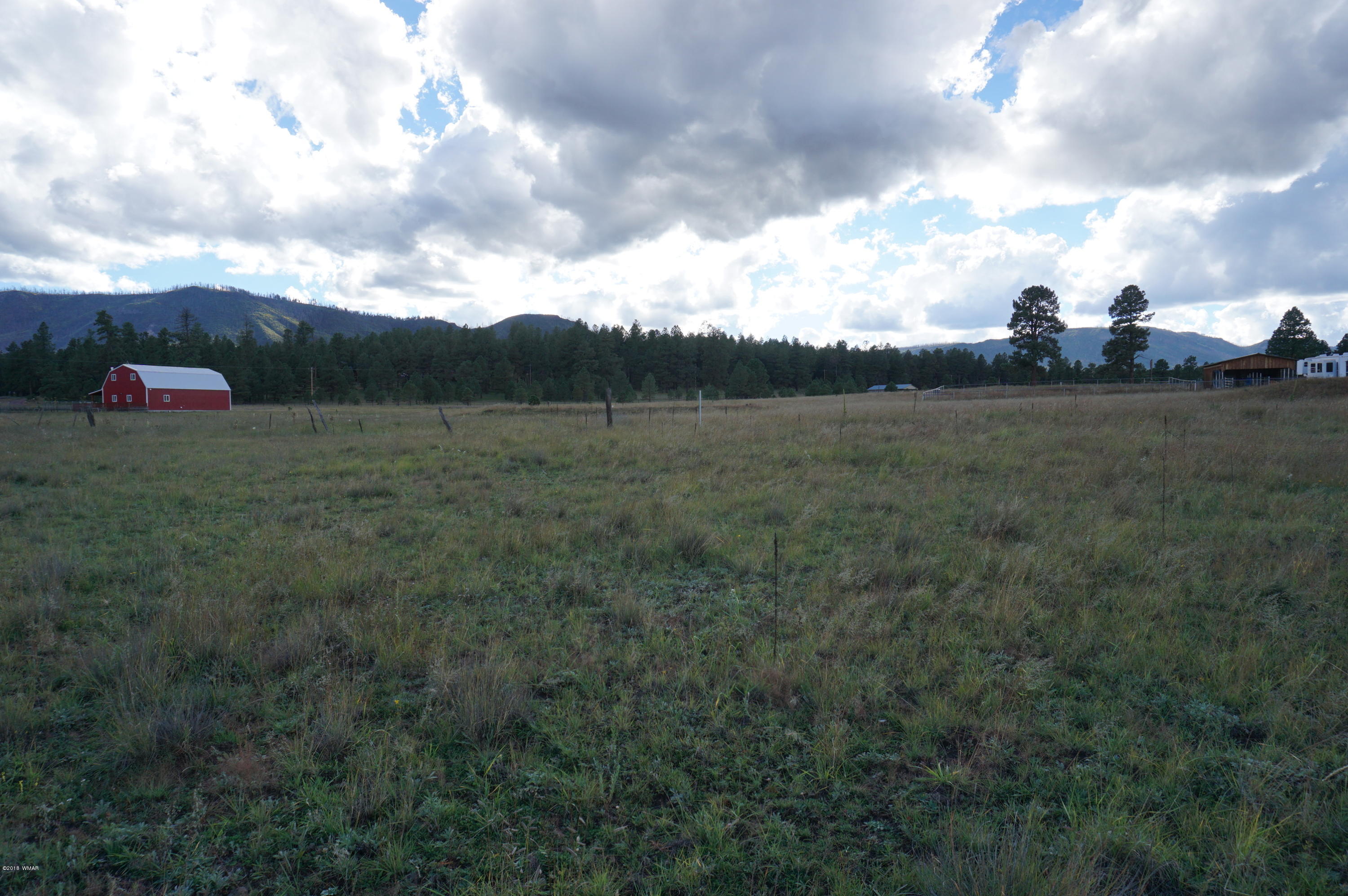 57 Co Road Alpine, AZ 85920 - Photo 20 of 20