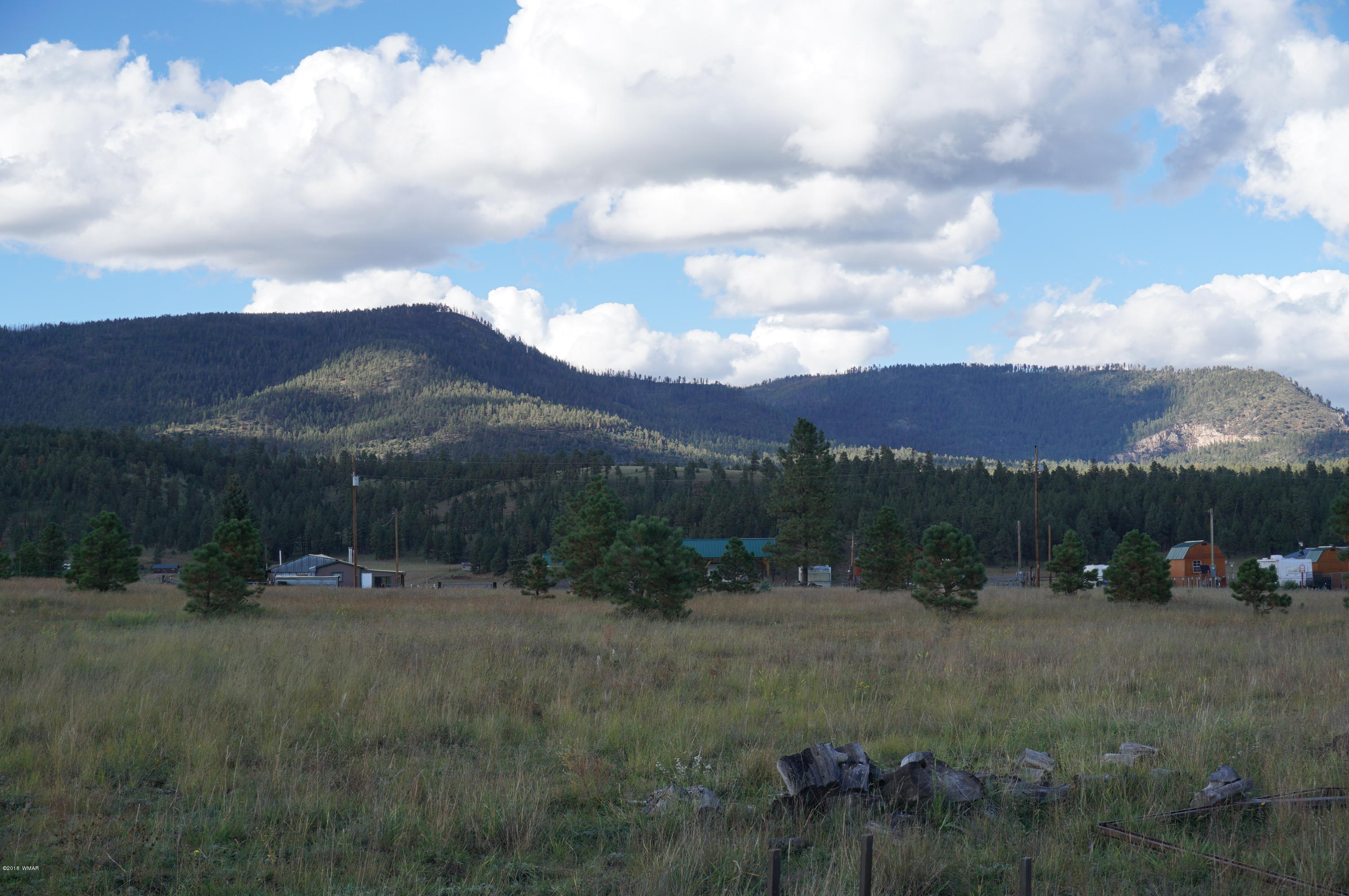 57 Co Road Alpine, AZ 85920 - Photo 2 of 20