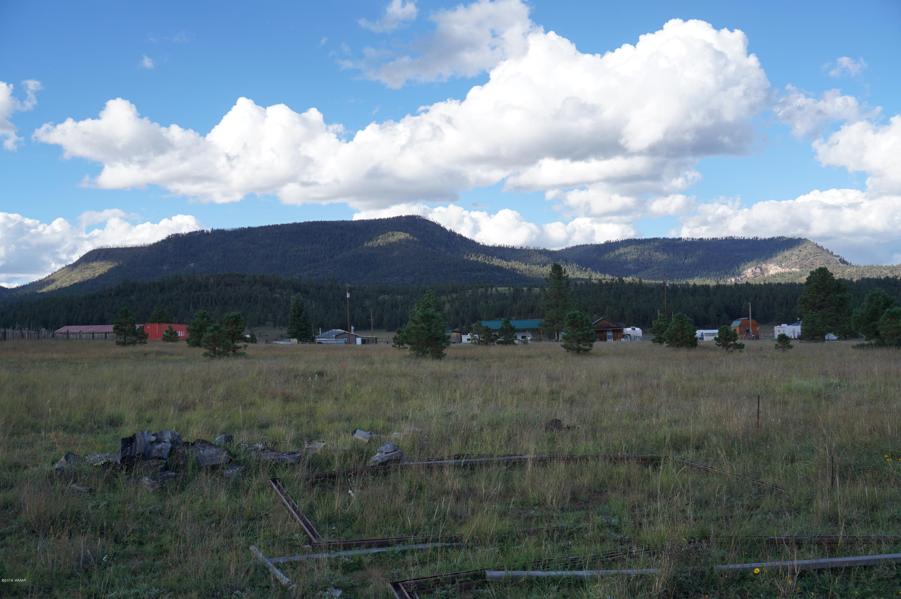 57 Co Road Alpine, AZ 85920 - Photo 3 of 20