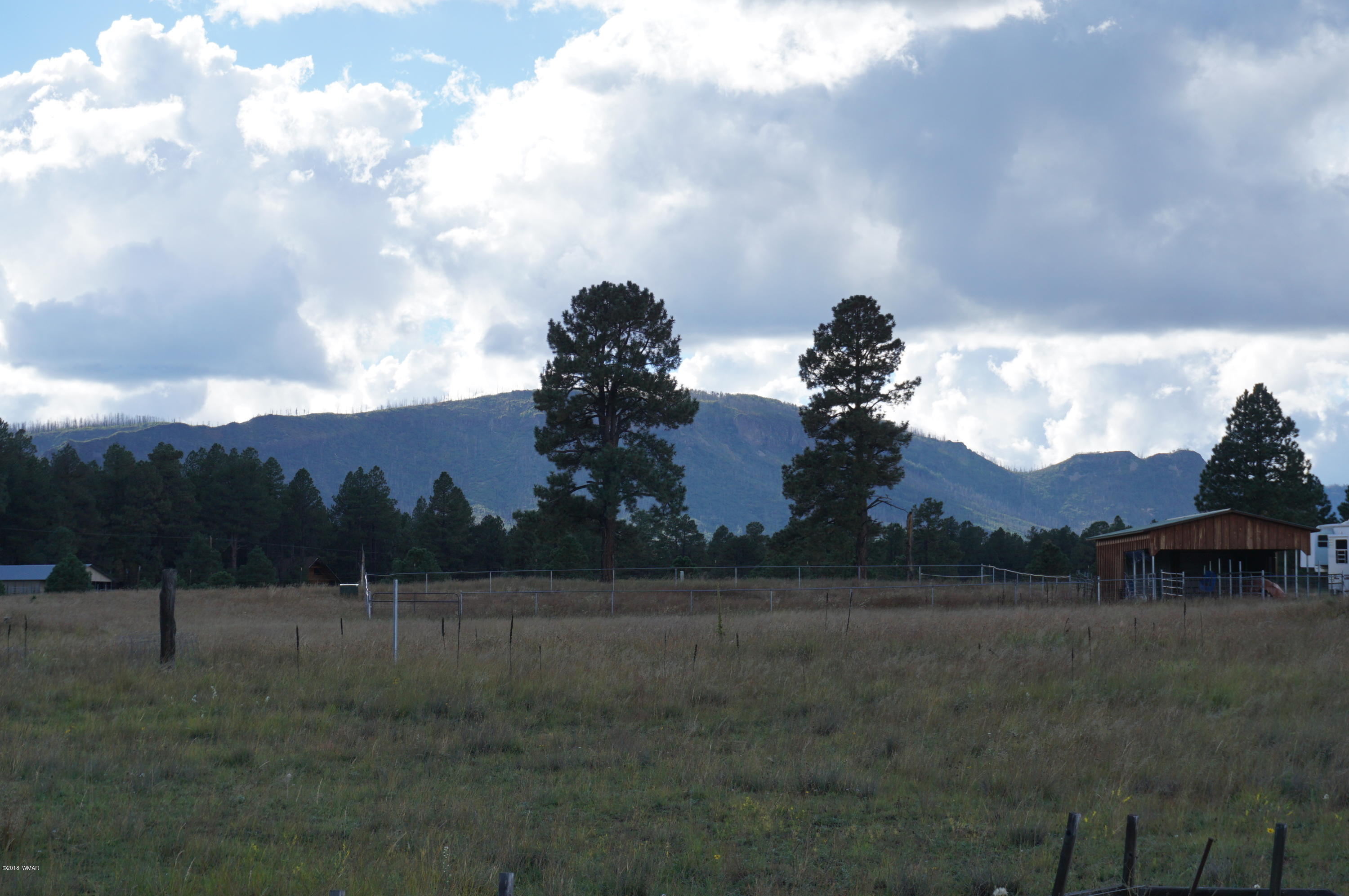 57 Co Road Alpine, AZ 85920 - Photo 4 of 20