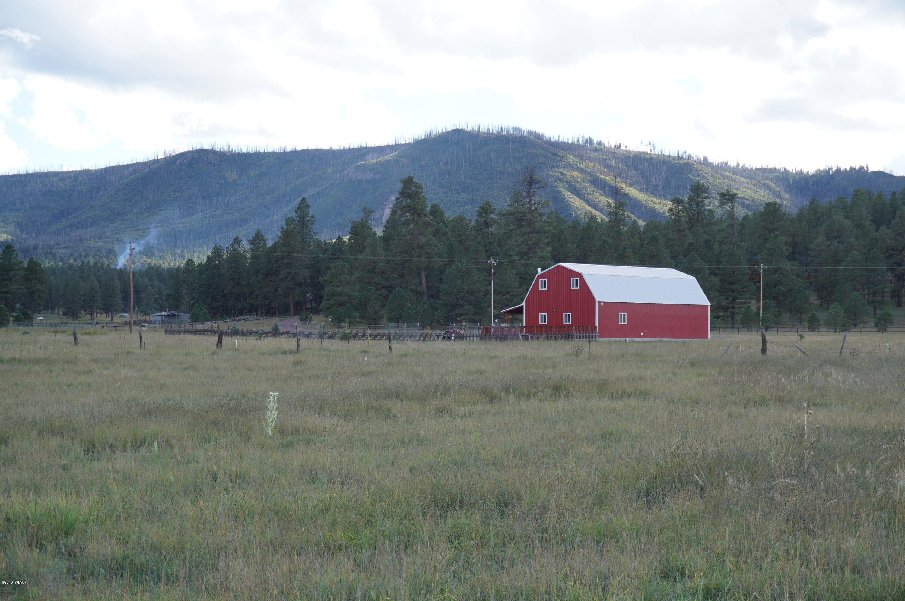57 Co Road Alpine, AZ 85920 - Photo 5 of 20