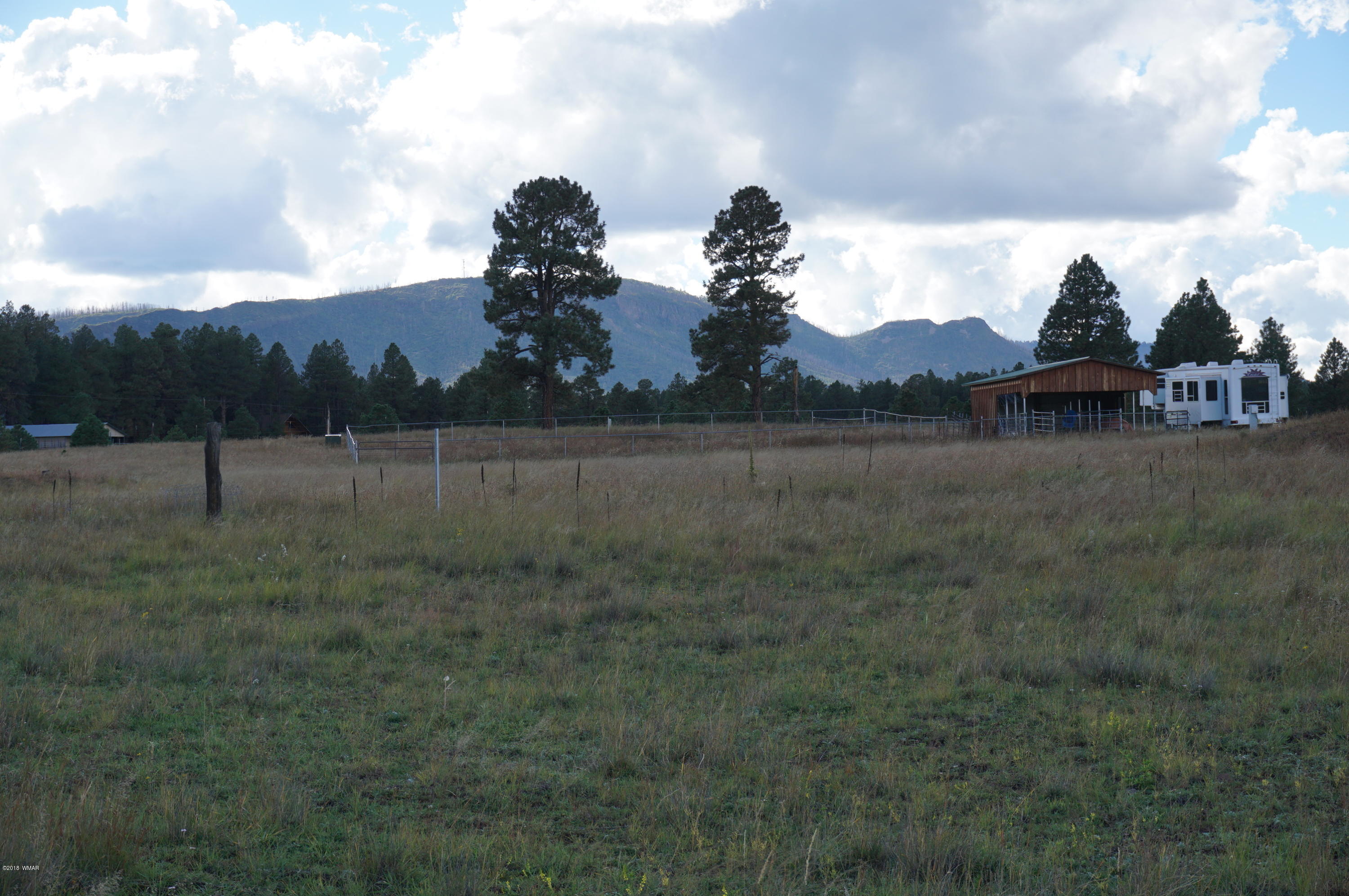 57 Co Road Alpine, AZ 85920 - Photo 10 of 20