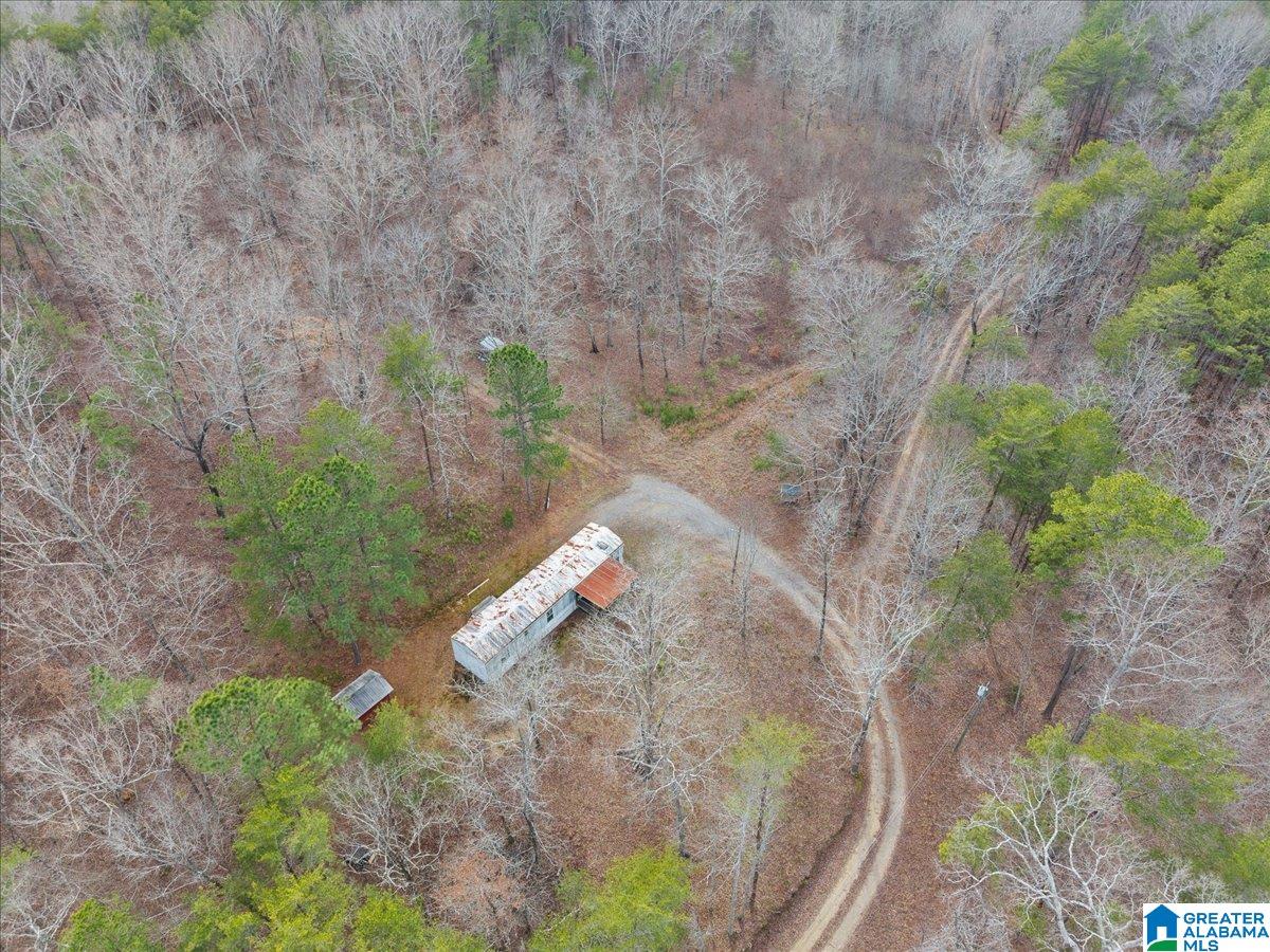1484 Waid Road Oneonta, AL 35121 - Photo 25 of 33