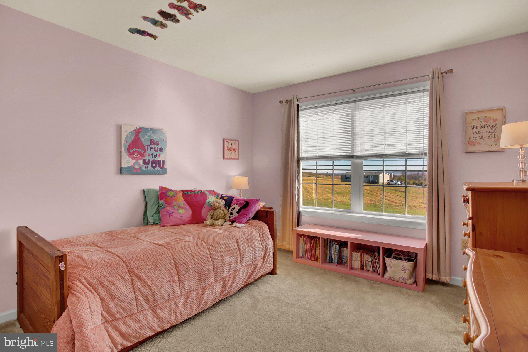 667 Cockley Road Harrisburg, PA 17111 - Photo 29 of 37 Gallery Image 29