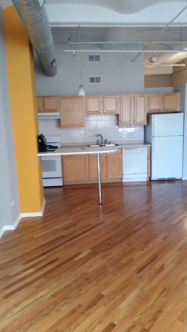 500 South Clinton Street, Unit 217 Chicago, IL 60607 - Photo 2 of 17