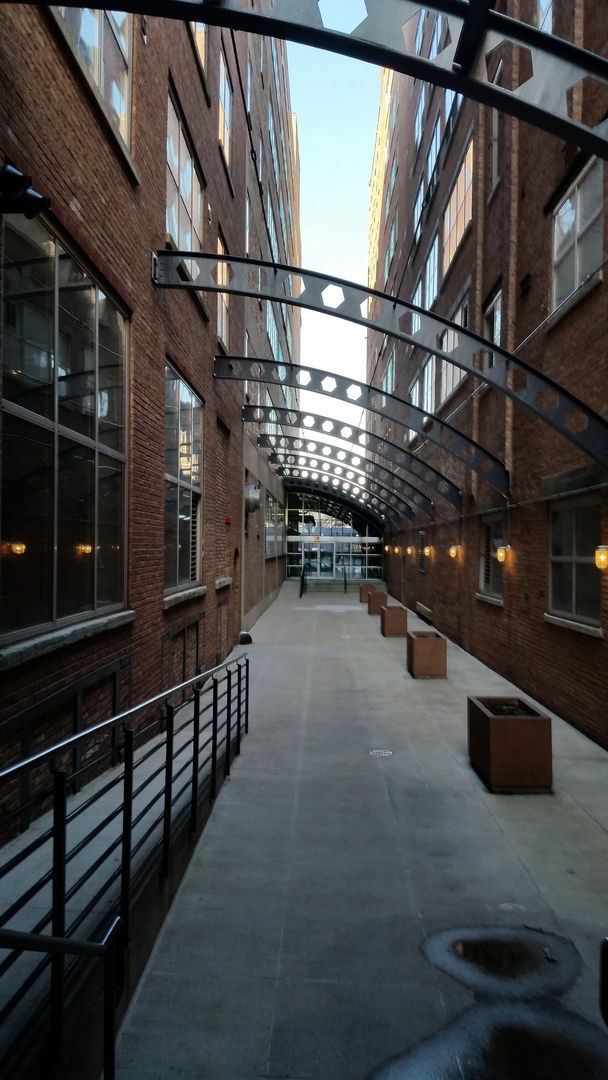 500 South Clinton Street, Unit 217 Chicago, IL 60607 - Photo 12 of 17