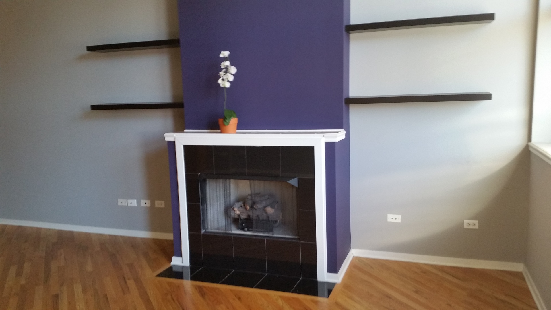 500 South Clinton Street, Unit 217 Chicago, IL 60607 - Photo 3 of 17