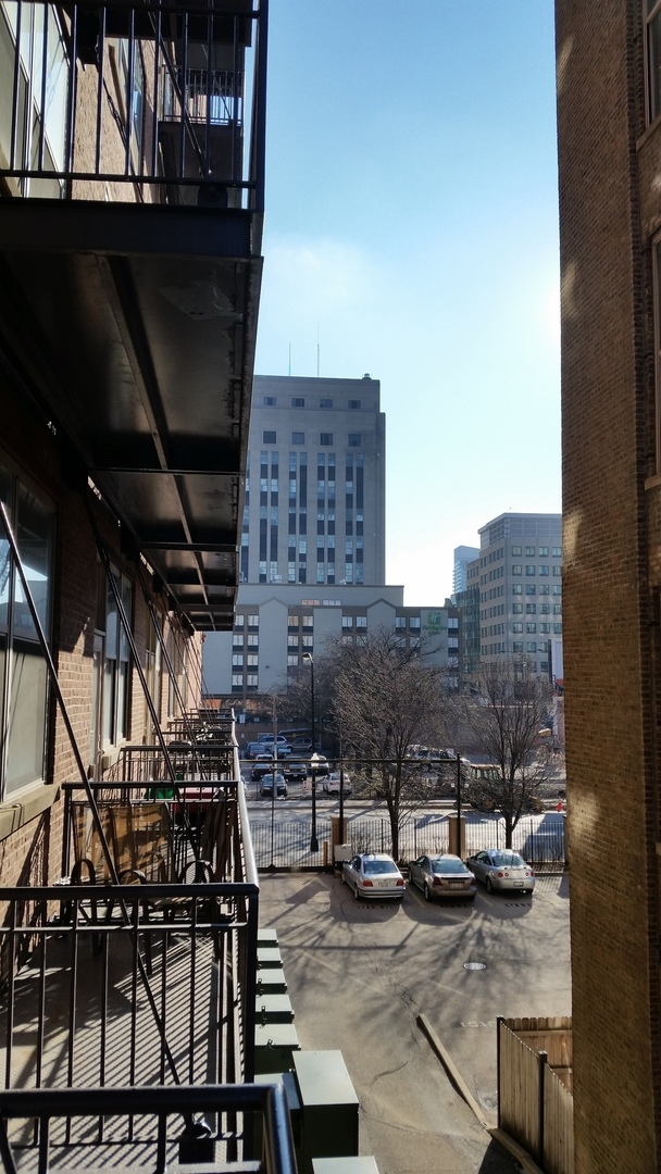 500 South Clinton Street, Unit 217 Chicago, IL 60607 - Photo 7 of 17