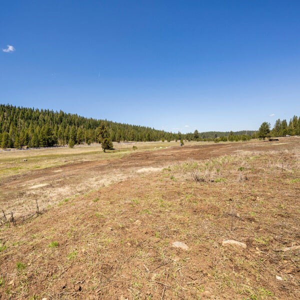 Lot 29 To Be Determined, Unit 29 McCall, ID 83638 - Photo 2 of 2