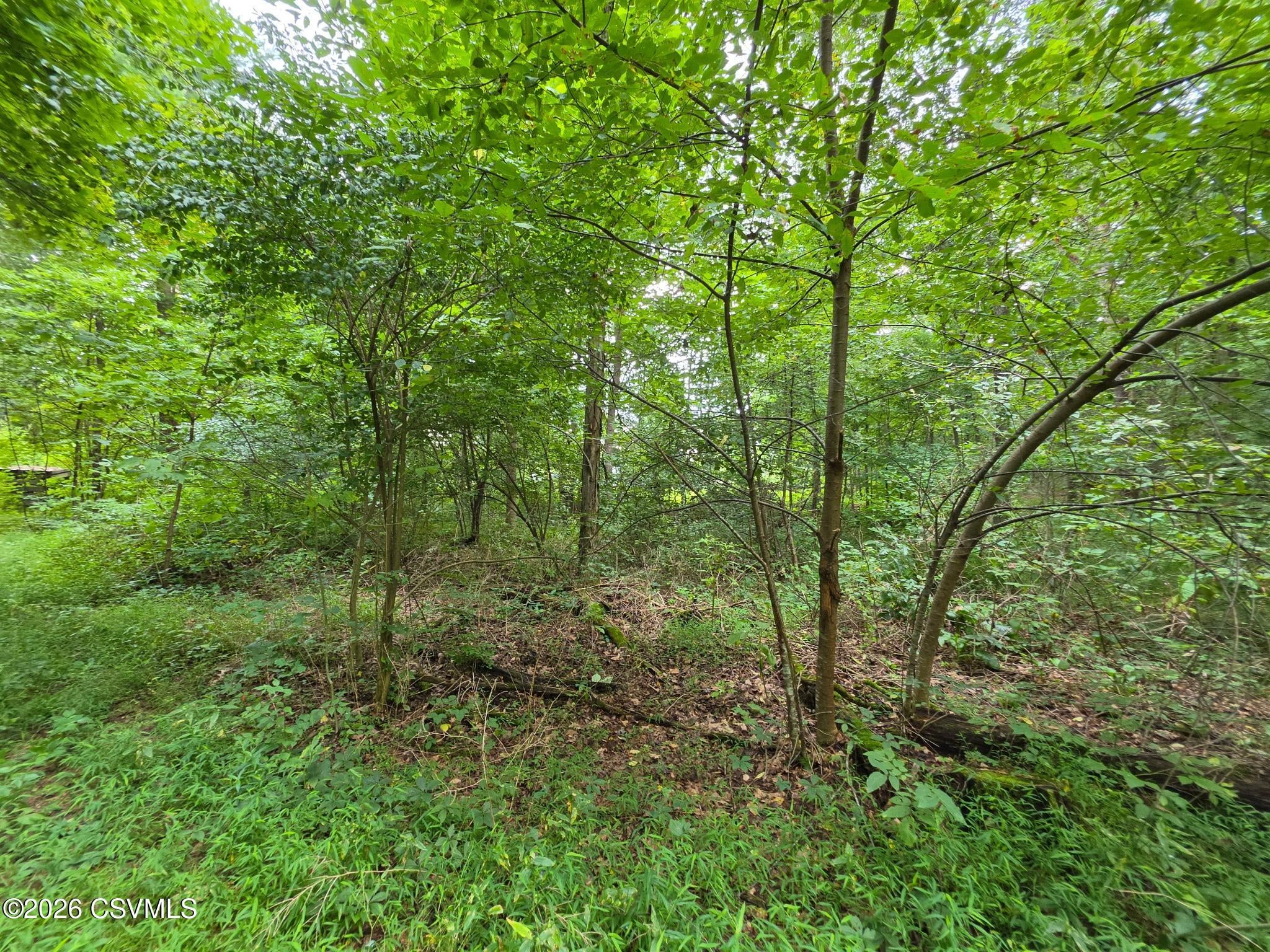 6102 Troxelville Road Beavertown, PA 17813 - Photo 17 of 43 Gallery Image 17