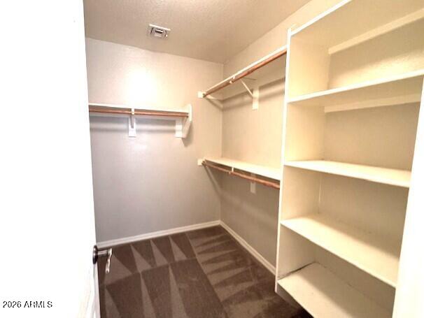 3827 East Trigger Way Gilbert, AZ 85297 - Photo 26 of 41 a view of walk in closet with empty racks