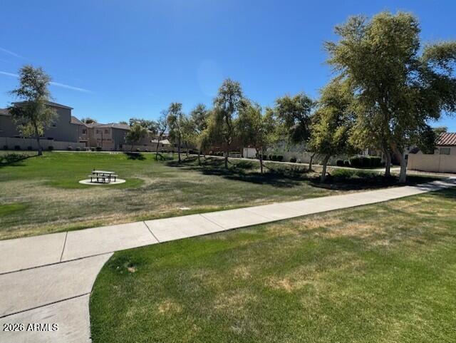3827 East Trigger Way Gilbert, AZ 85297 - Photo 36 of 41 a view of a park that has a lots of plants and trees