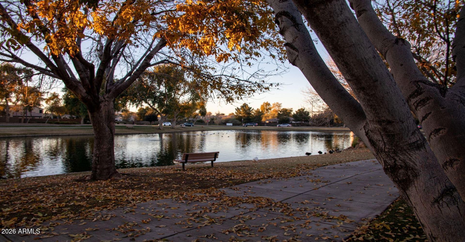 3827 East Trigger Way Gilbert, AZ 85297 - Photo 41 of 41 a view of a house with backyard and a tree